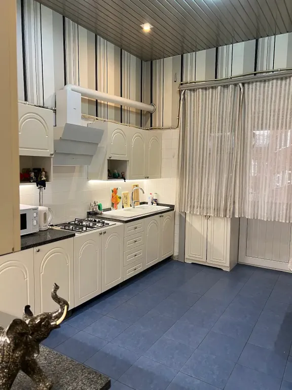 Уютная квартира в центре города с зоной шашлыка