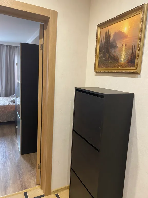 Квартира у метро Озерки
