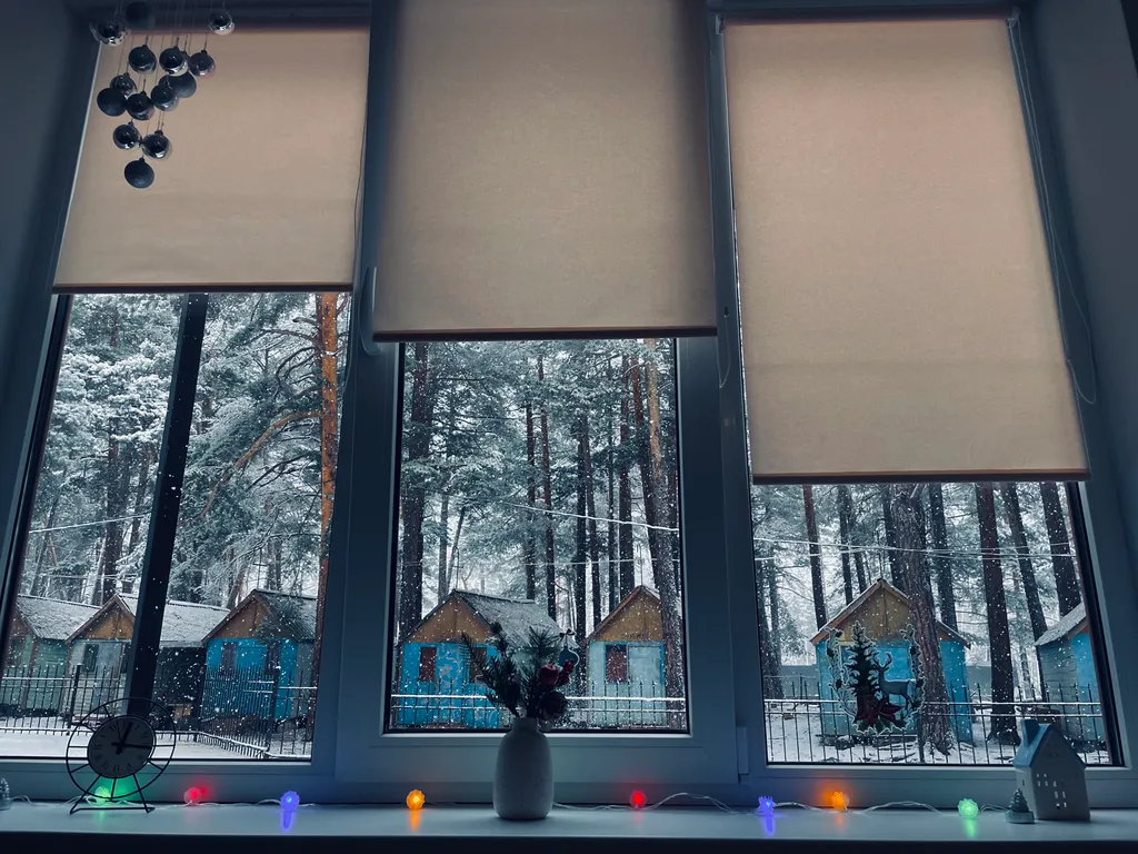 Уютная квартира в сосновом лесу