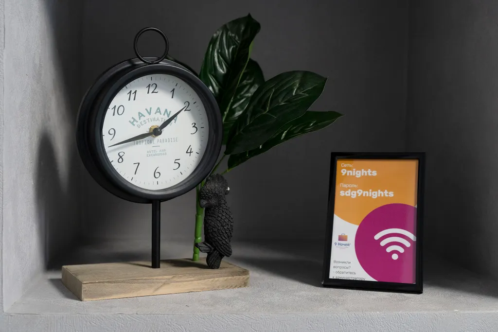 Зеленая студия