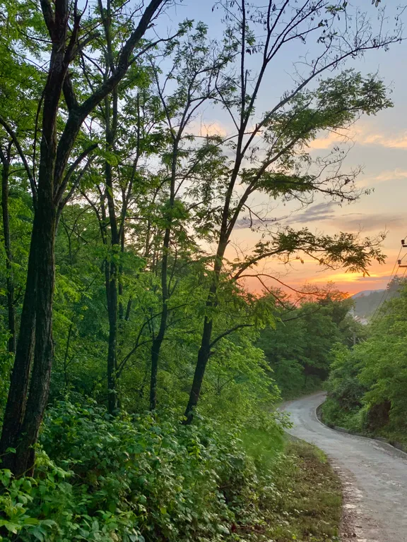 Уютная квартира с видом на море