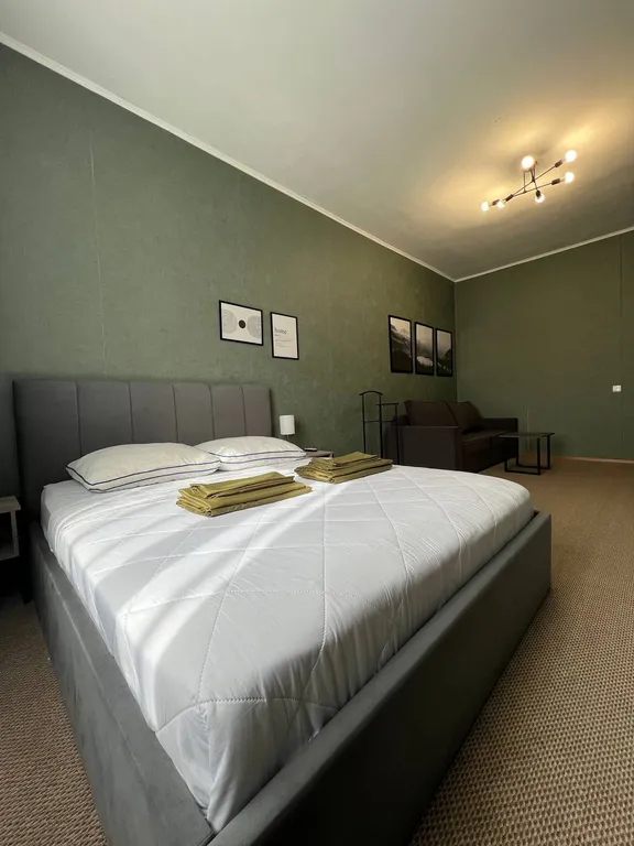 Квартира Уютные апартаменты в самом центре города — аренда посуточно в Нижний Новгород