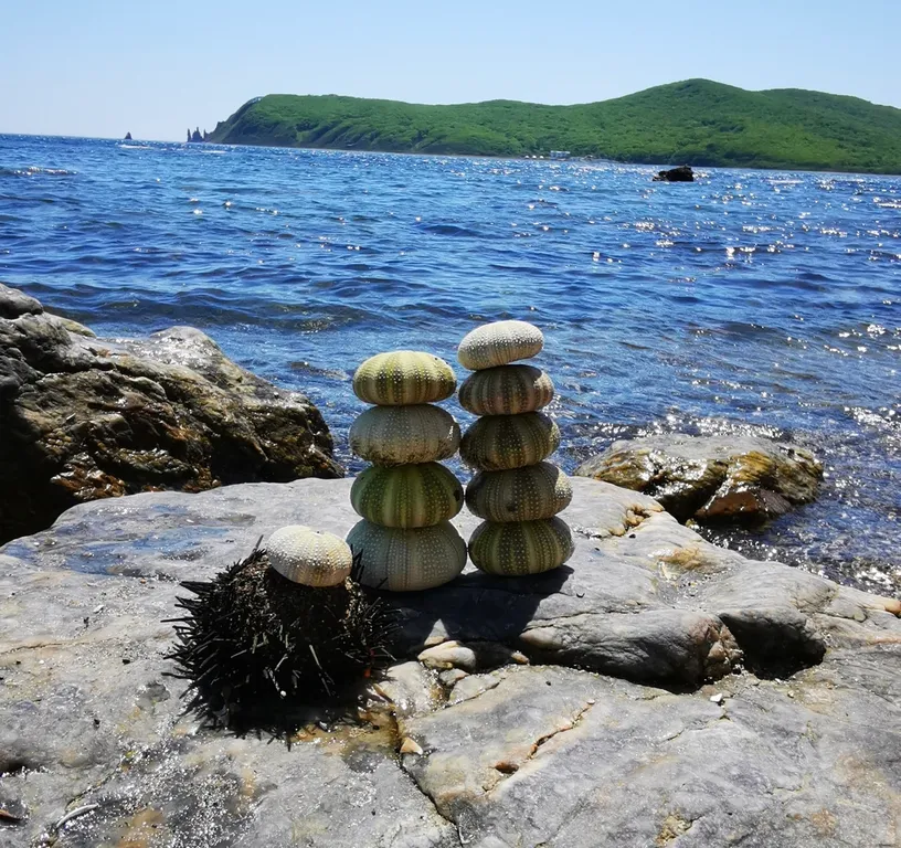 Современная квартира вблизи моря