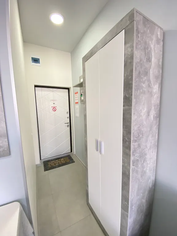 Квартира 1-комнатная Квартира — Сириус