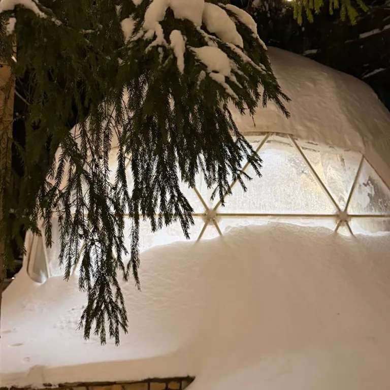 Коттедж Сфера в сосновом лесу — аренда посуточно в Звенигород