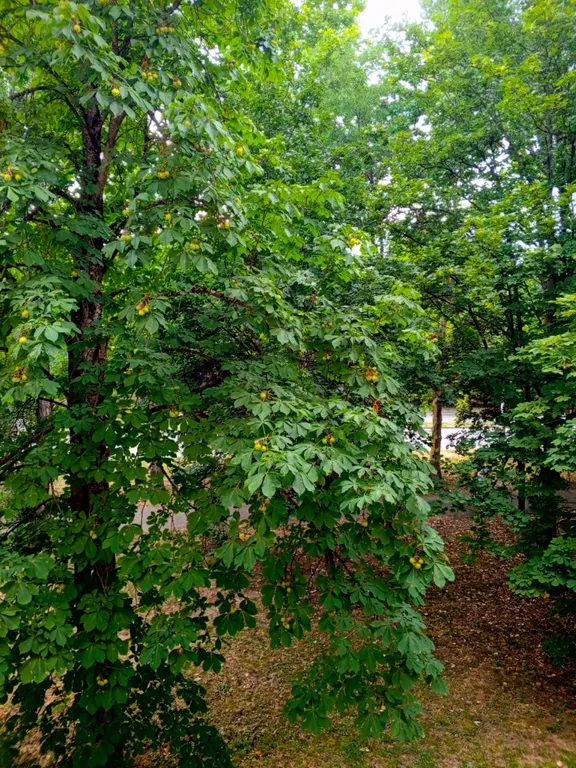 Уютная квартира в районе Черемушки