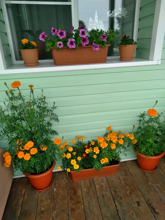 Гостевой дом для отдыха в Карелии