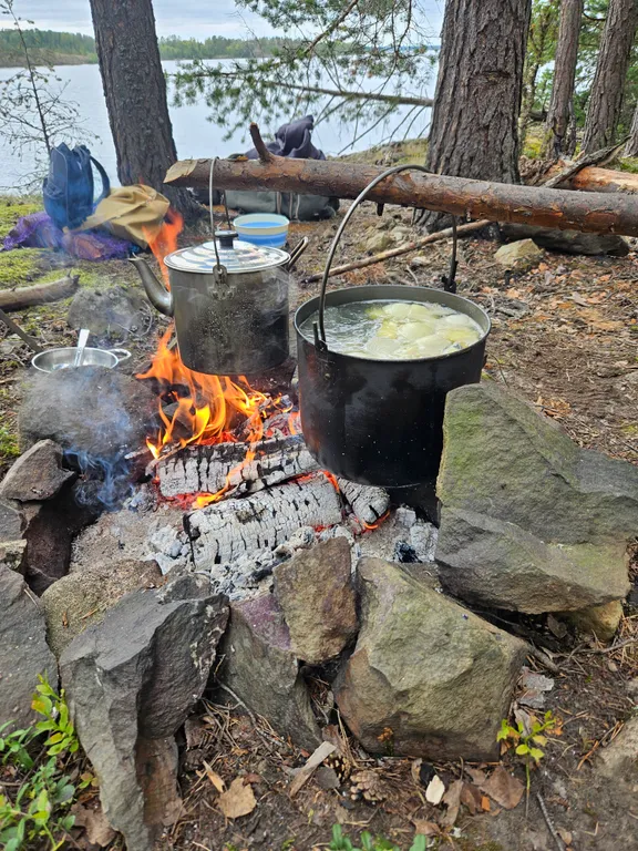 Малый дом на медовом ранчо в Карелии - отдых с пользой для здоровья