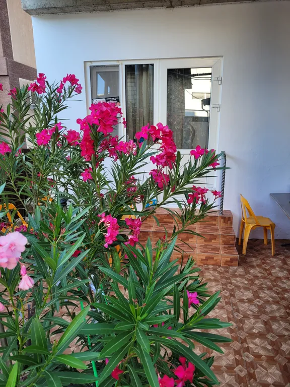 Четырёхместный эконом в центре