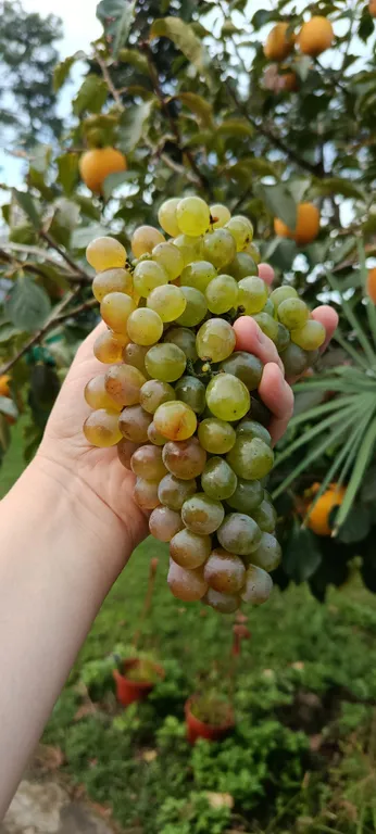 Двухкомнатные апартаменты на берегу моря