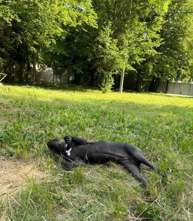 Коттедж Домик в лесной тиши недалеко от моря — Геленджик
