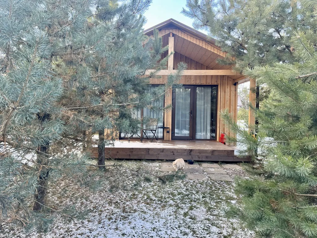 Коттедж 42 метра в лесу у пруда