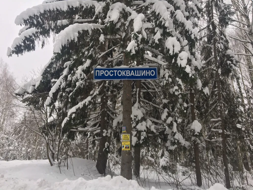 Большой коттедж в лесу