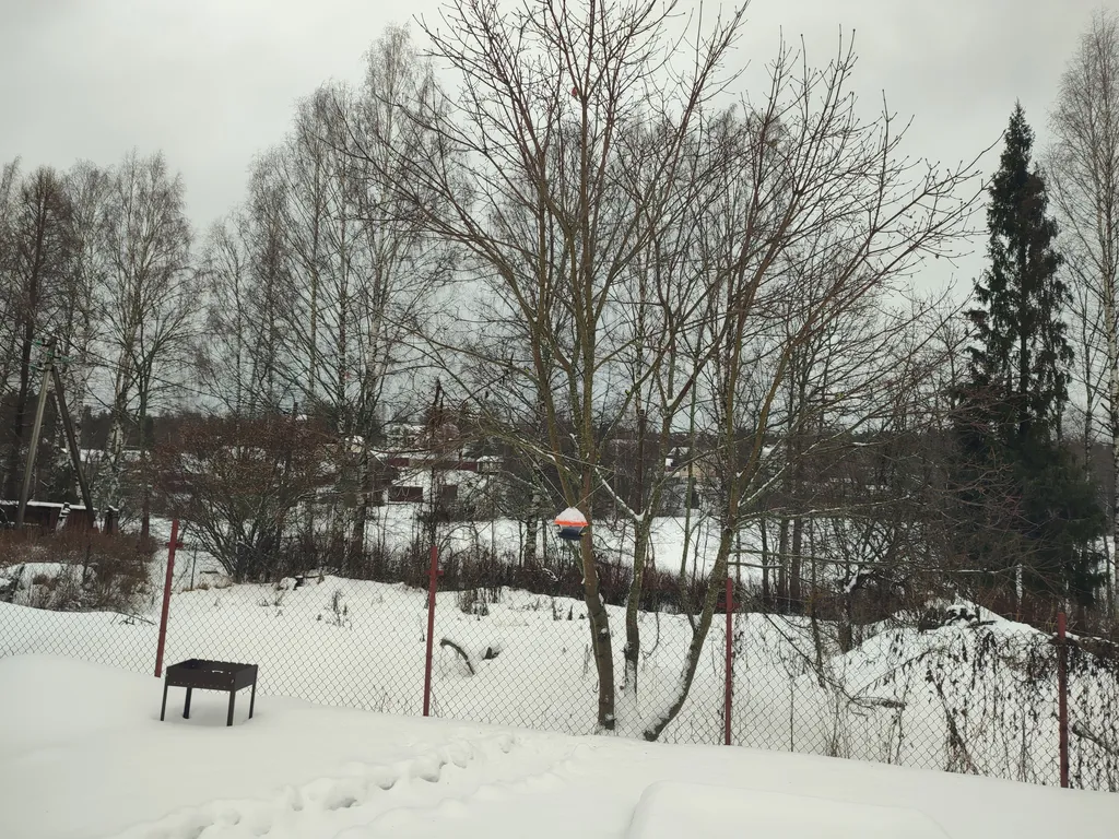 Петербургская дача на холме прямо у озера