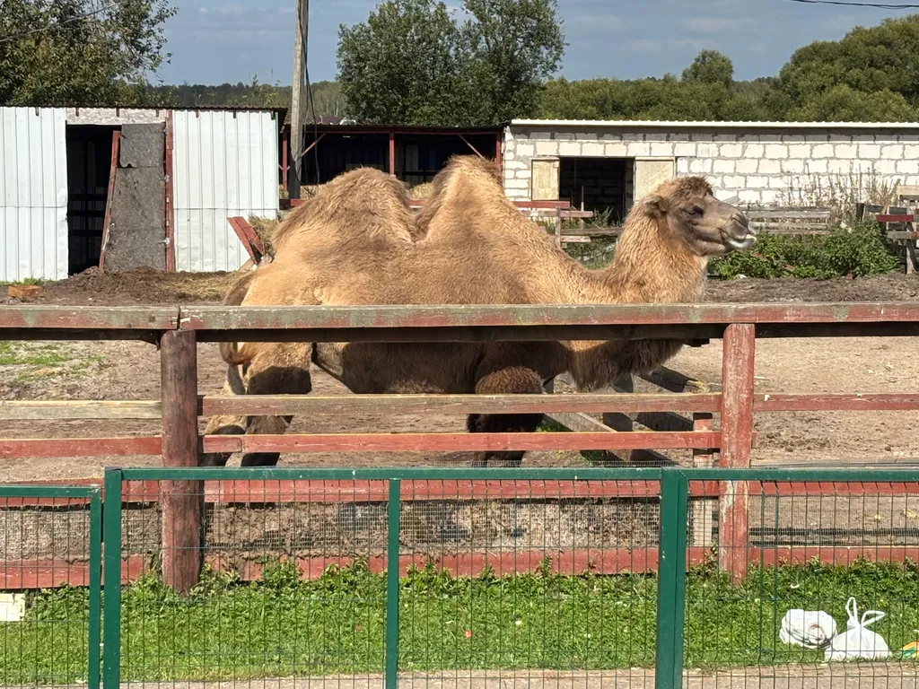Коттедж Уютный дом построенный с любовью — Дубна