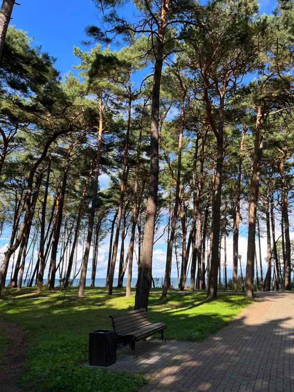 Квартира Baltic breeze уютные апартаменты у моря — Пионерский