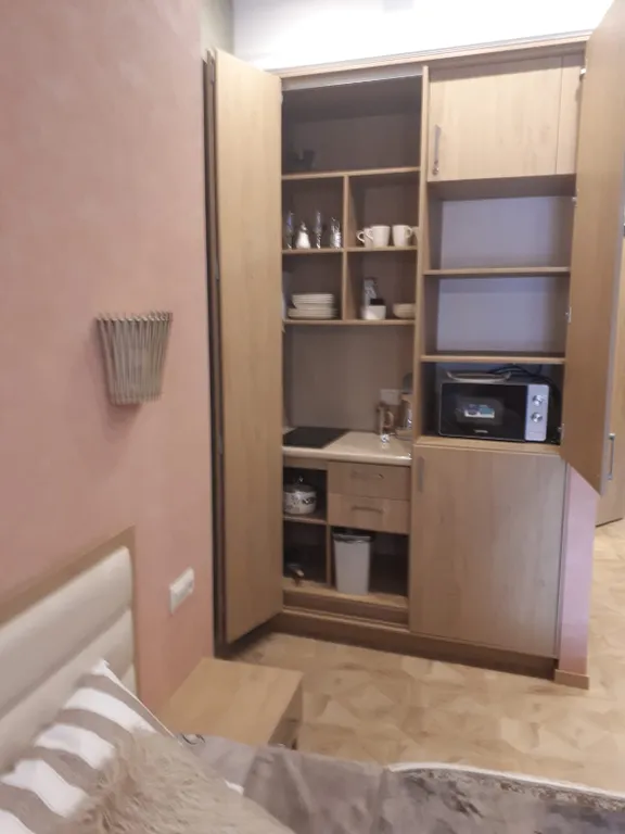 Уютные апартаменты в центре города