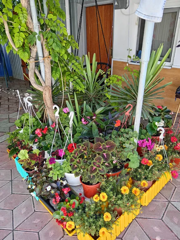 Апартаменты в центре у моря