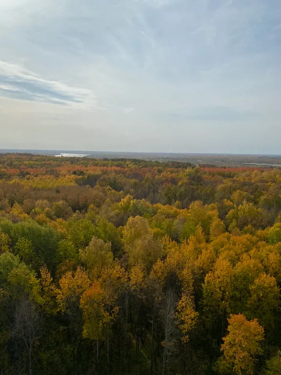 Уютная студия для комфортного проживания