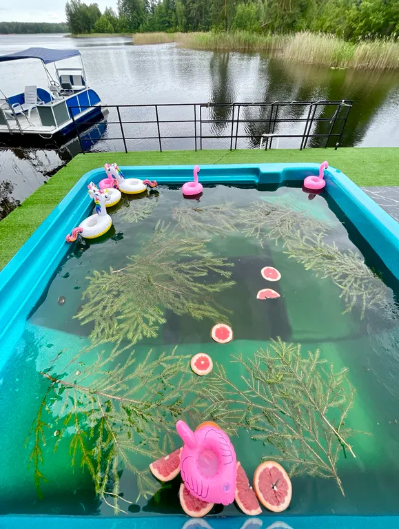 Дом Panorama на берегу озера, утопающий в соснах, тишине и спокойcтвии