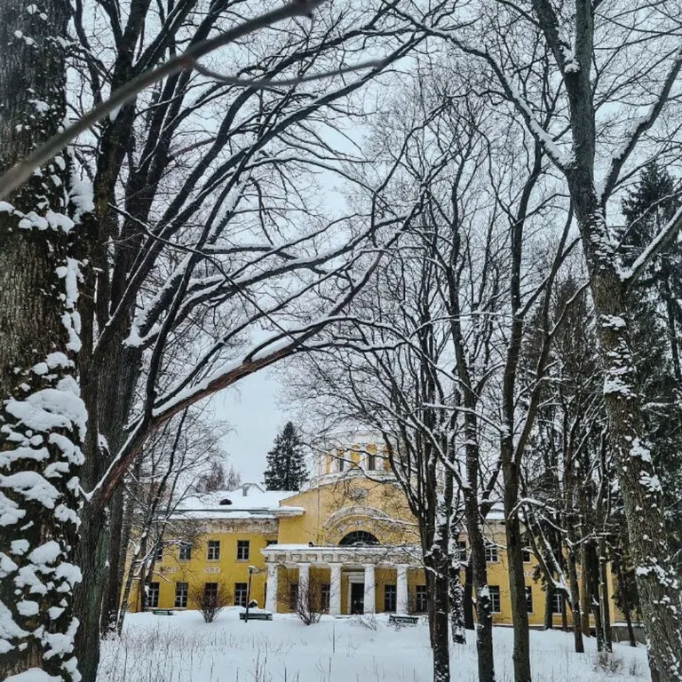 Студия Скандинавский лес с видом на Шуваловский парк