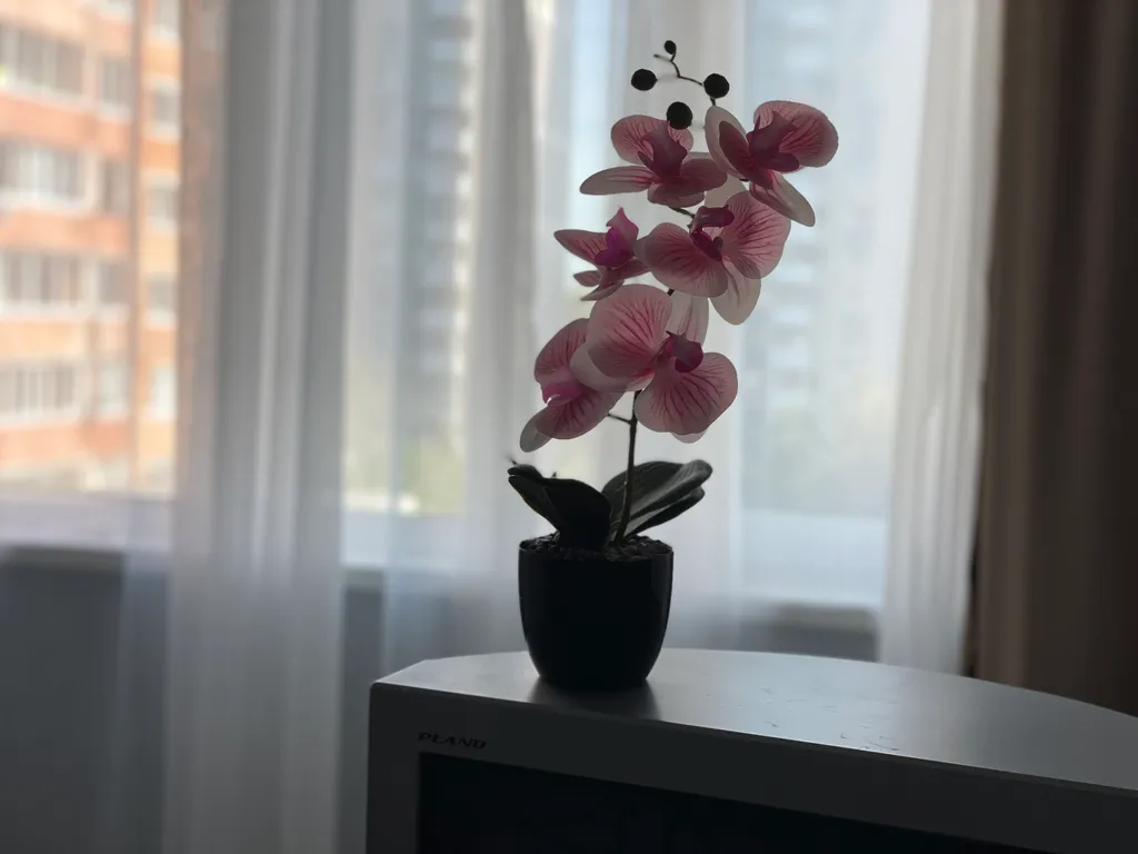 Просторная трёхкомнатная квартира с изолированными спальнями