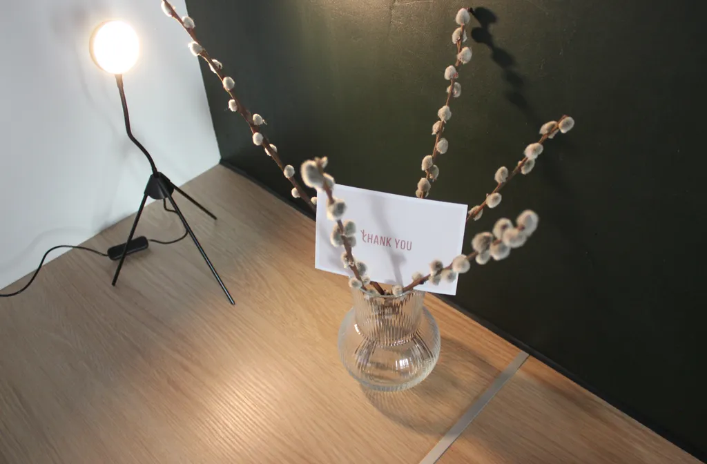 Квартира Квартира Студия Джапанди с видом на парк Краснодар — Краснодар