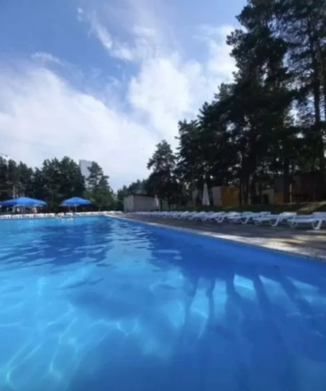 Квартира в новом доме с видом на лес
