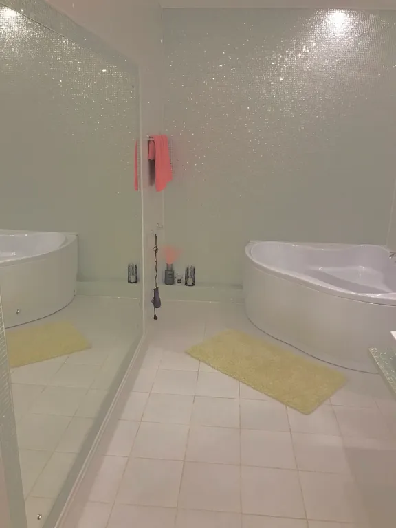 Студия с выделенной спальной зоной