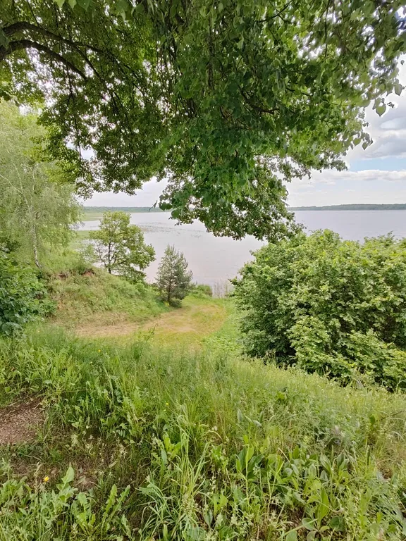 Гостевой дом между Лесом и Озером