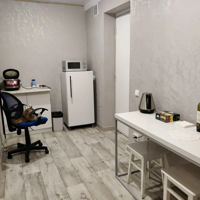 Эксклюзив с дизайнерским ремонтом