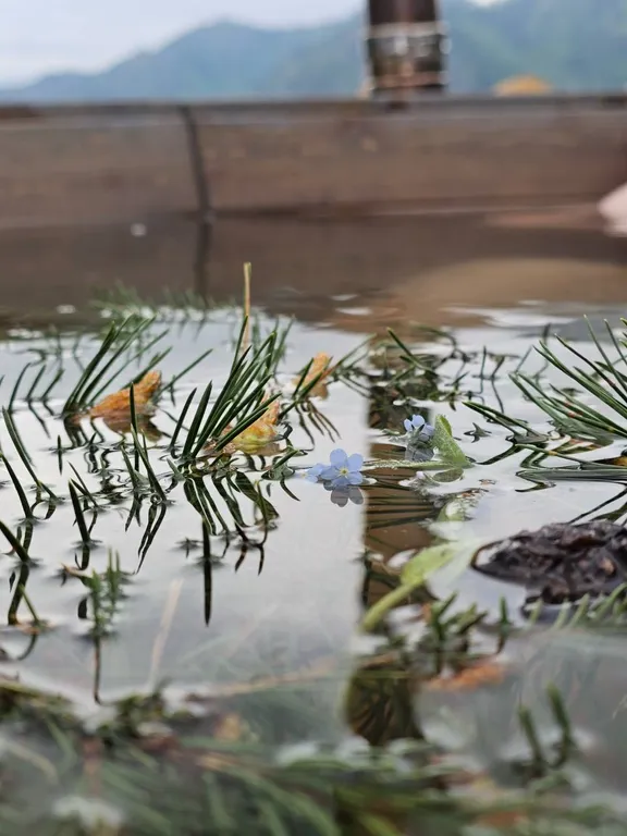 Домик с красивым видом