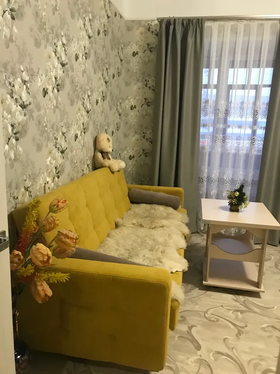 Однокомнатная квартира с окнами на парк Землячки рядом цирк, УДС Молот