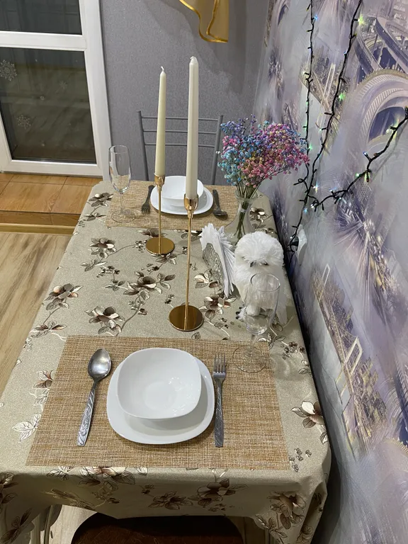 Уютная евро двухкомнатная квартира в центре города