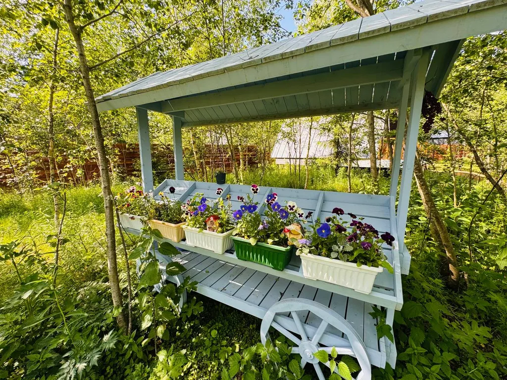 Дом (отдых по Барски в River 2)