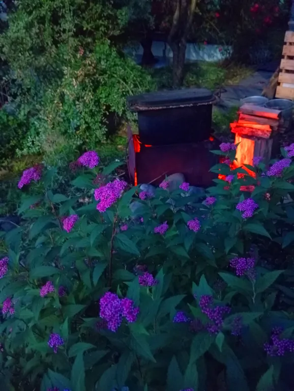 Гостевой домик