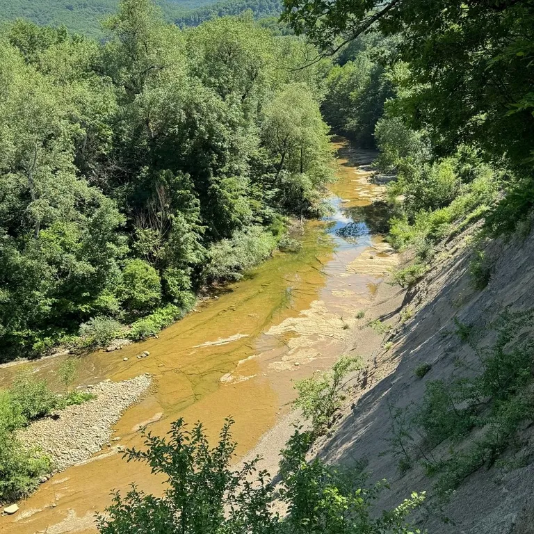 Собер Дача - частный дом рядом с лесом и винодельней