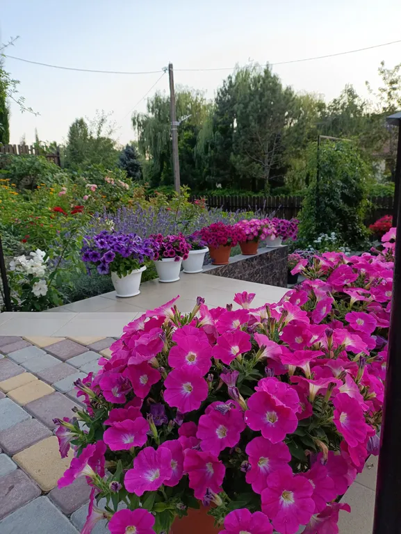 Коттедж Дом у моря посуточно с  бассейном Пляхо — Пляхо