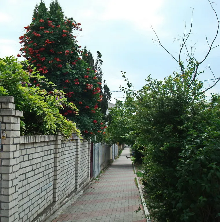 Квартира Квартира на Толстом Мысу между бухтой и открытым морем — Геленджик