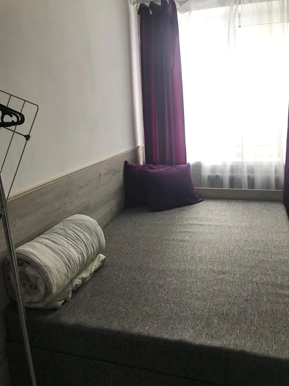 Студия маджента