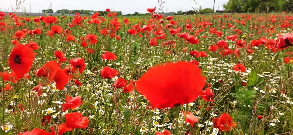 Загородный дом для перезагрузки