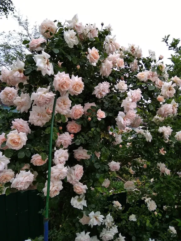 Апартаменты с видом на море и горы