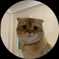 Райганат  Абдурашидова