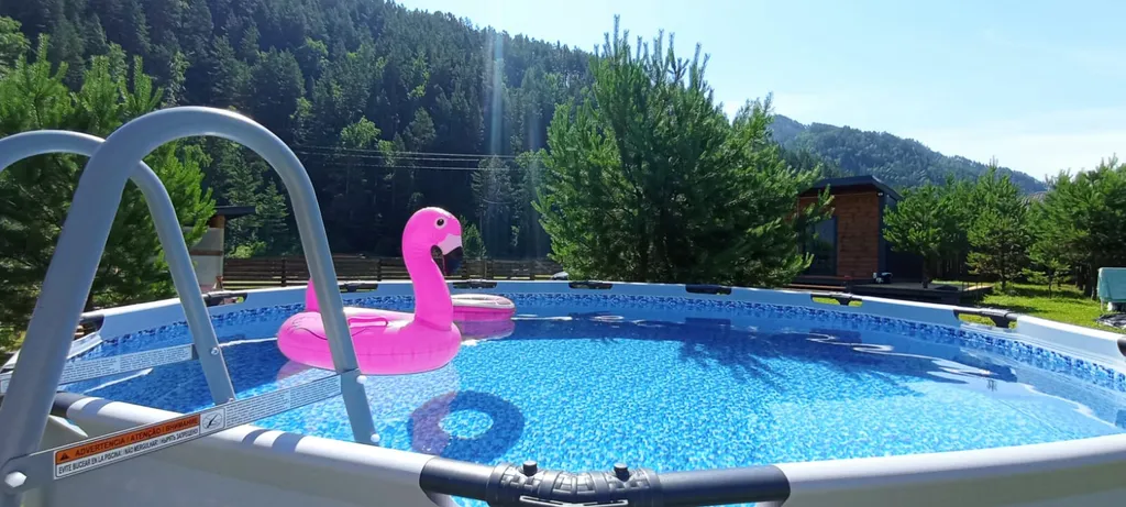 Отдых в живописном месте Алтая