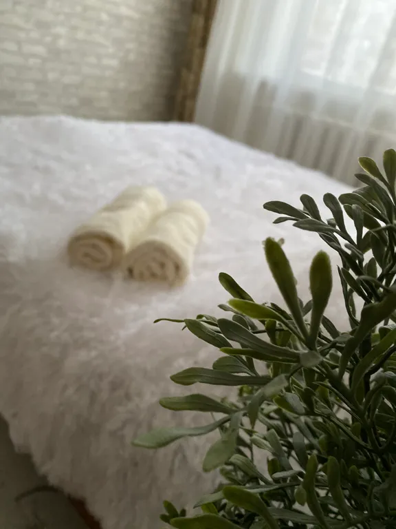 Уютные квартиры ЖД вокзала