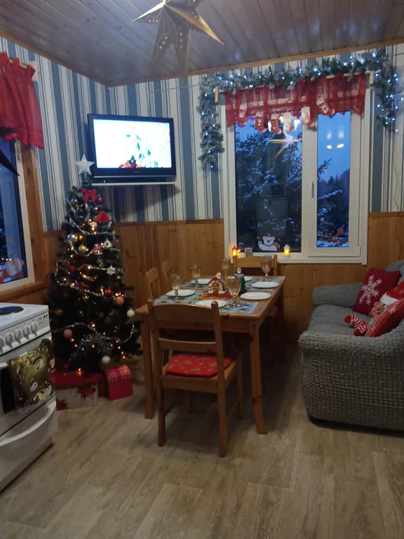 Дом в Карелии с печью-камином и видом на лес