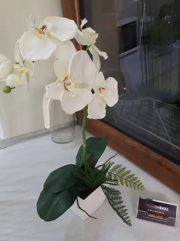 Квартира Квартира Белая студия Море внутри — Пионерский