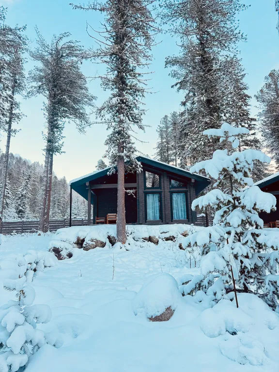 Коттедж Шале темный — аренда посуточно в Артыбаш