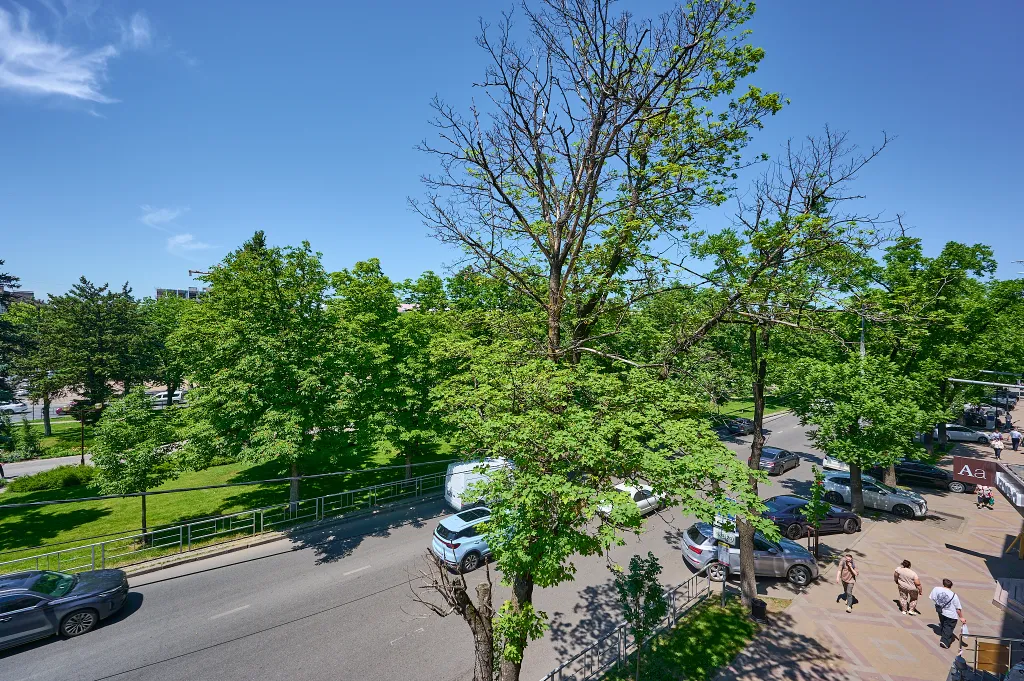 Апартамент Lavanda home