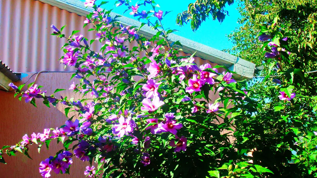 Коттедж 3-х комнатный дом в центре — Феодосия